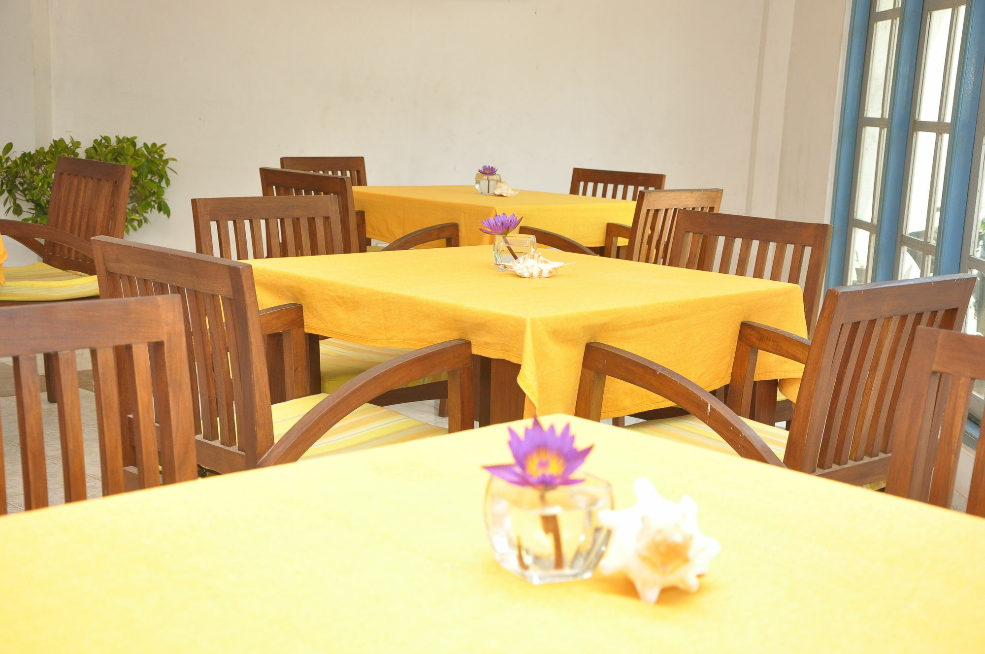 Mountbaylk Hotel Dehiwala-Mount Lavinia Exterior photo